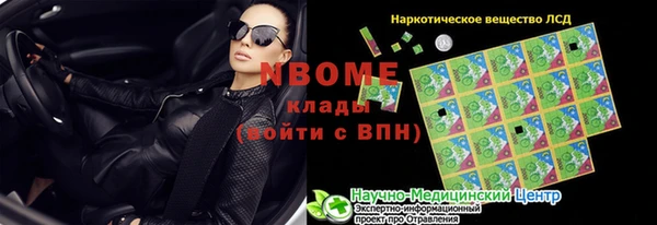 прущие грибы Абинск