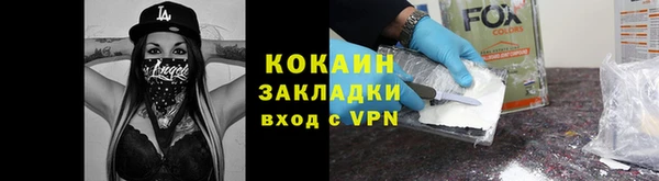 прущие грибы Абинск