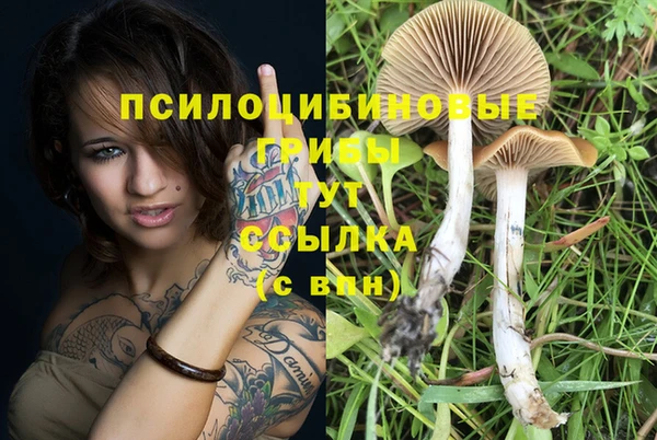 спайс Абдулино