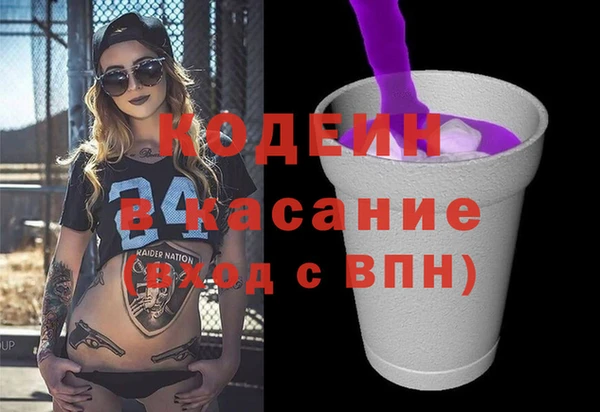 прущие грибы Абинск