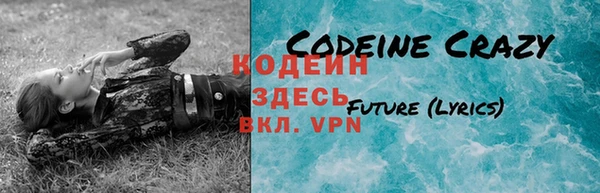прущие грибы Абинск