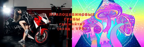 дмт Алзамай