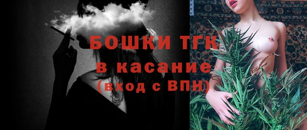 прущие грибы Абинск