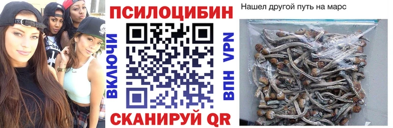 Галлюциногенные грибы Psilocybe  Пошехонье 